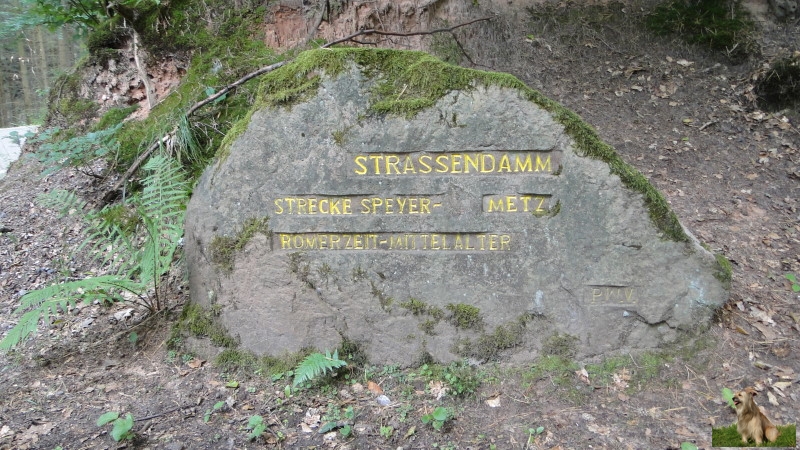 Ritterstein Nr. 246-2b Strassendamm - Strecke Speyer - Metz Römerzeit - Mittelalter.JPG - Ritterstein Nr.246 Strassendamm - Strecke Speyer - Metz Römerzeit - Mittelalter